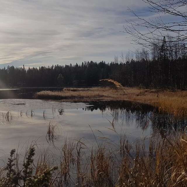 Шале Mänty- Lodge Сиоте-36